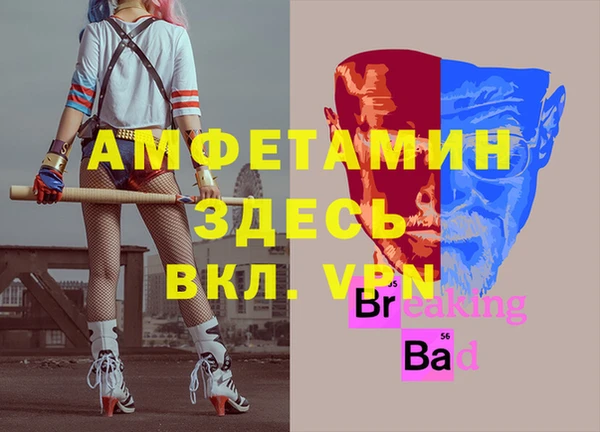 стаф Балахна