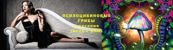 винт Баксан