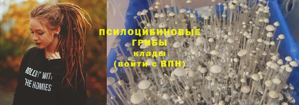 винт Баксан