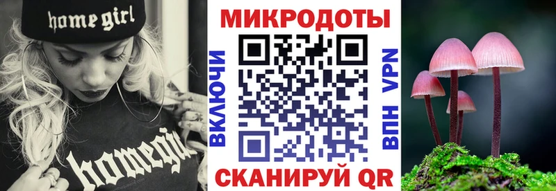 Псилоцибиновые грибы Cubensis Бор