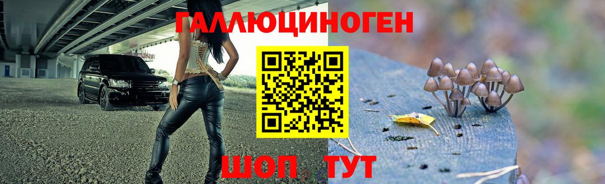 Галлюциногенные грибы мицелий  купить закладку  Бор  Вход с VPN 